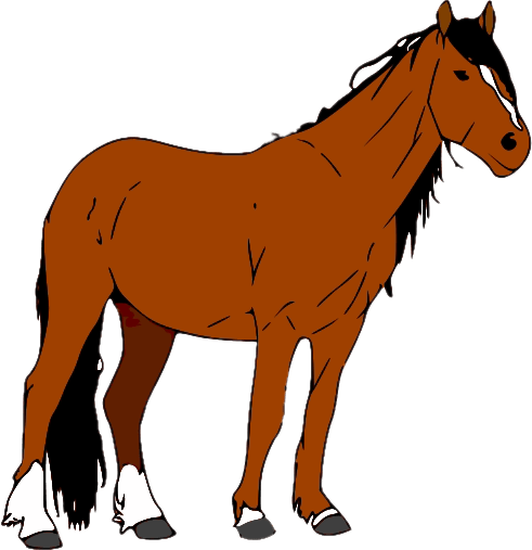 Horse