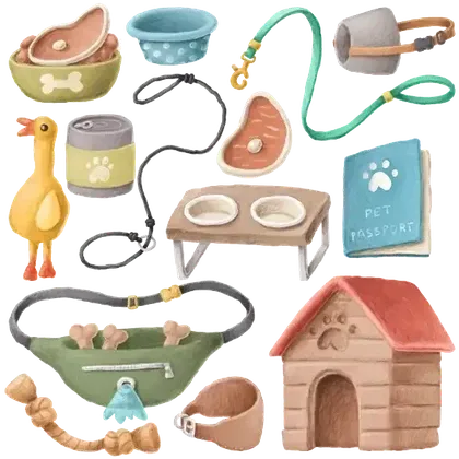 Pets Equipment